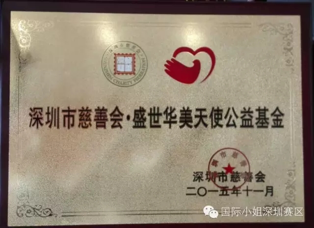 盛世華美天使公益基金